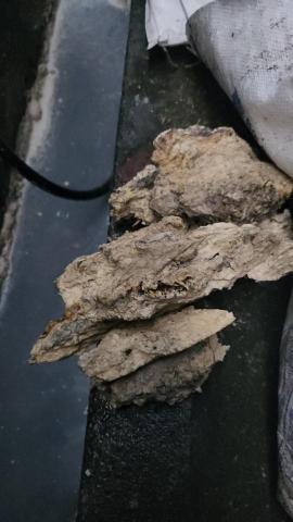 吉時通管企業 -  吉時通管企業 -