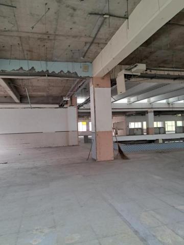 林稚傑 -  林稚傑 -