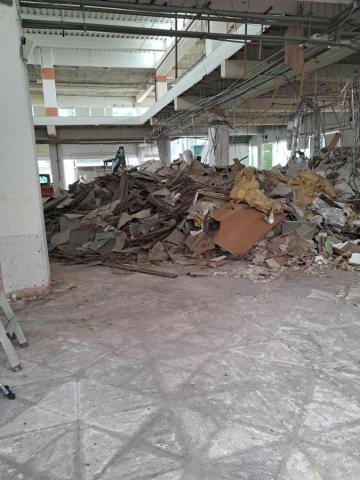 林稚傑 -  林稚傑 -