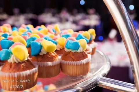 瓶中熊影像 -  瓶中熊影像 -