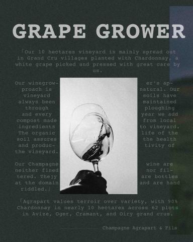 Lily Chao -  作品集－Instagram圖片製作