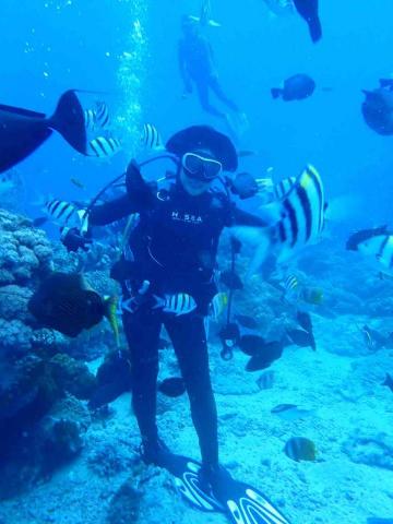 太陽游泳教學、自由潛水課程、水肺潛水 - 水肺潛水