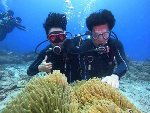 太陽游泳教學、自由潛水課程、水肺潛水 - 水肺潛水