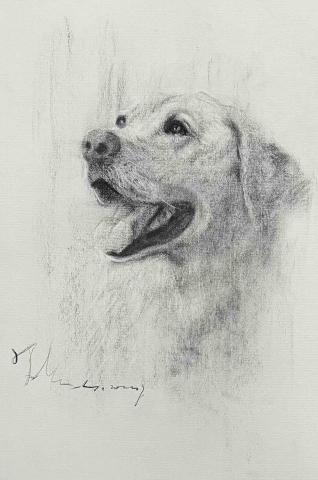 陳玠佑 - 動物（素描）