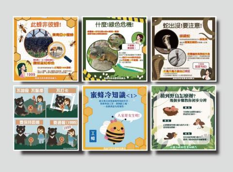 Biao - 懶人包
依不同的主題所繪製之懶人包。