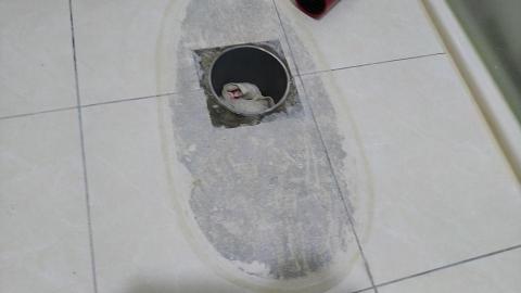 李宜學 - 馬桶更換