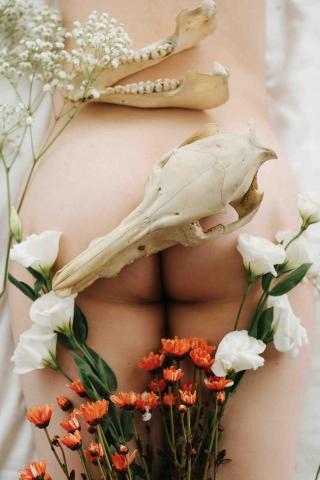 蘇瑪麗 - 個人創作：肉體、花與死亡