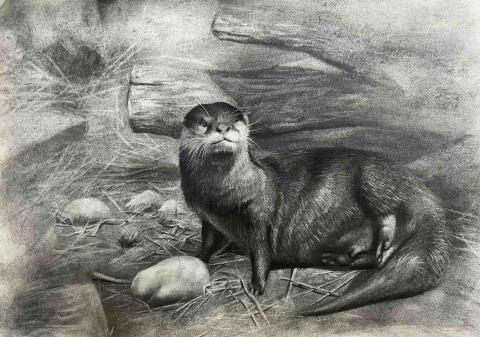 孟哲勖 - 素描練習