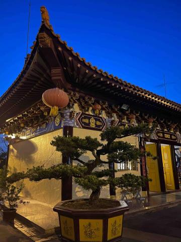 源鑫景觀工程行 - 樹木買賣種植