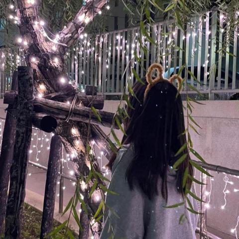 提供賺錢ptt服務的專家薛少琪