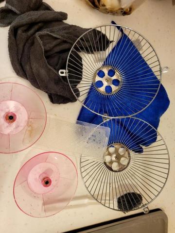 珊珊家事清潔工作室 - 施作後