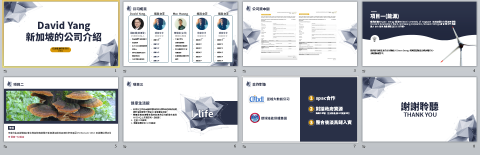米果子美學創意有限公司 - 公司介紹ppt
(僅供參考瀏覽設計風格,請勿沿用) 米果子美學創意有限公司 - 公司介紹ppt
(僅供參考瀏覽設計風格,請勿沿用)