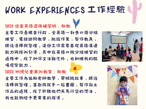 邱紫嫻 - 工作經驗