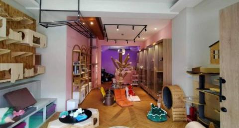 濬葉室內裝修有限公司 - 商空店面設計裝修