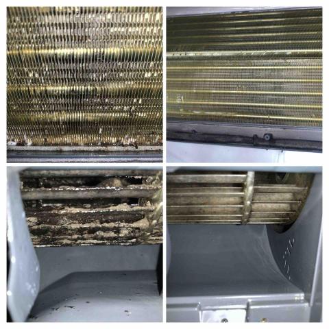 職手清潔工作室-洗衣機-冷氣清潔 -  屏東 佳冬 皇家冷氣/聲寶冷氣