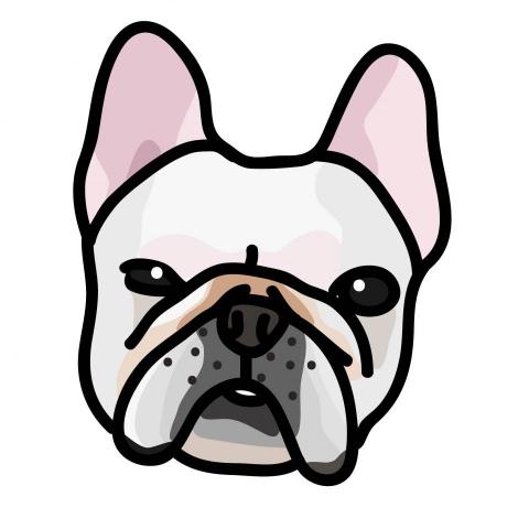 LUNA - 寵物大頭畫