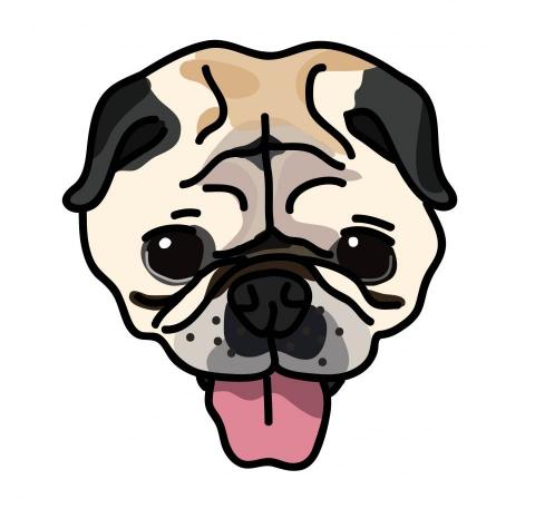 LUNA - 寵物大頭畫