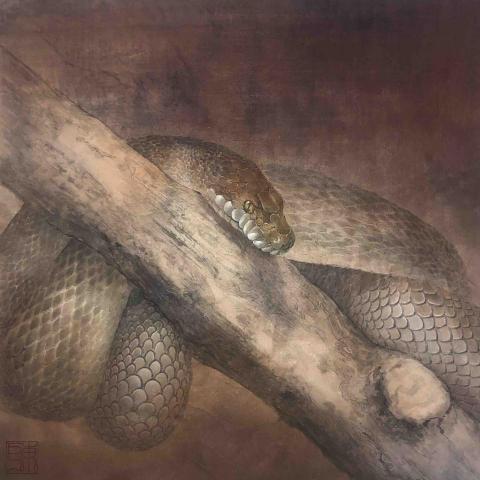 ChenHua - ［凝］
蟬翼宣｜紙本設色｜礦物顏料
373mm*373mm
2023.9
