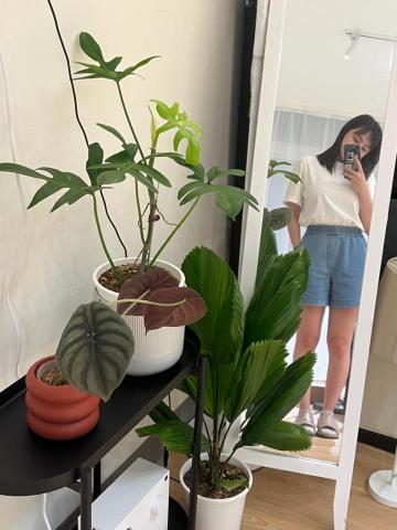 Artmiss_hotwax - 工作室的角落