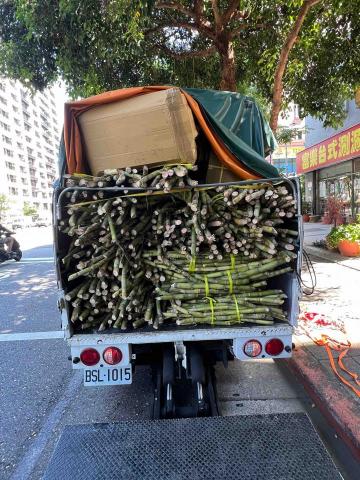 馬林漁團隊貨運快遞 -  馬林漁團隊貨運快遞 -