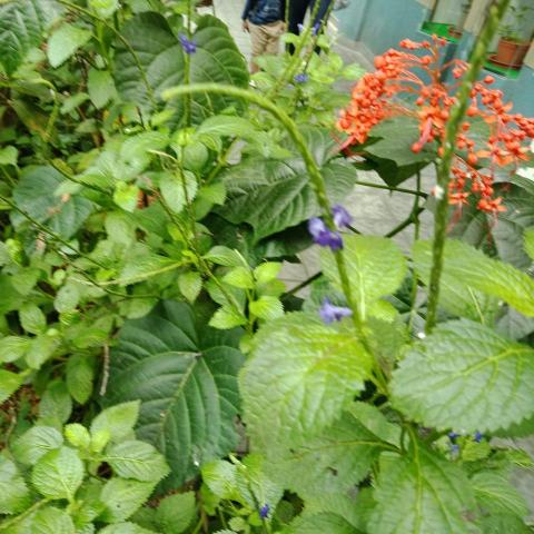 提供洗剪燙染服務的專家張茜茜