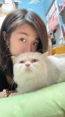 Emily新北寵物保姆 - 