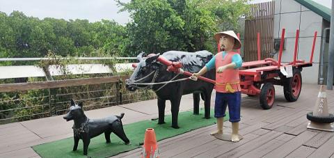 潘又微 - 台南四草綠色隧道