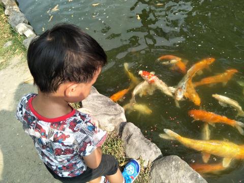 旅遊包車服務 - 