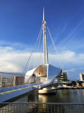 潘又微 - 高雄大港橋