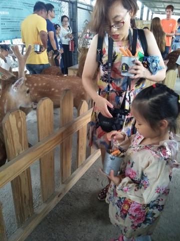 旅遊包車服務 - 