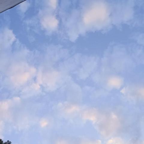 提供管理學ppt服務的專家Riley 