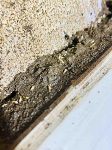 昌盛消毒有限公司 - 