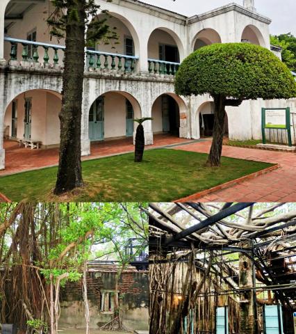 潘又微 - 台南安平樹屋
很奇特的園區
百年樹枝貫穿老舊的房屋