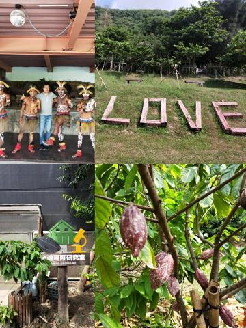 潘又微 - DIY巧克力農場
觀賞小動物