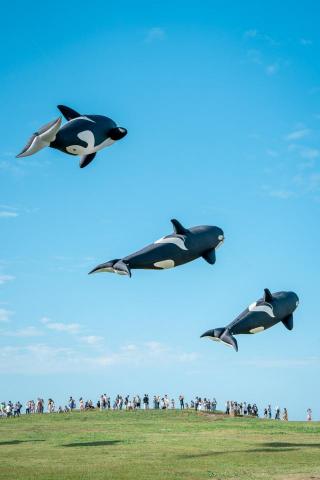 Ian Lu - 2023 新竹風箏節