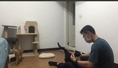 毛主子 - 鏟屎官到府照顧