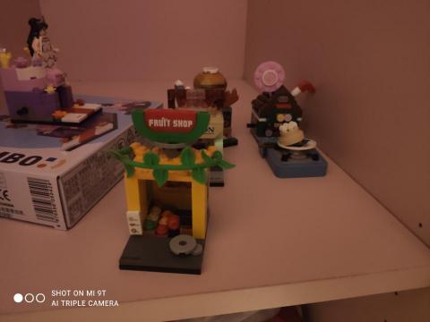 柯怡瑄 - 小型積木也有