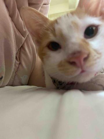 提供一直以來服務的專家林意芯