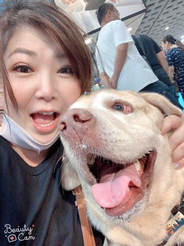 寵物保姆拉拉 - 可愛的孩子