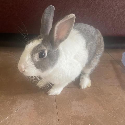 提供美髮剪刀服務的專家林汶萱