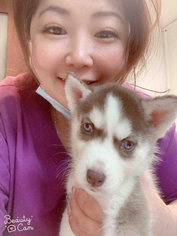 寵物保姆拉拉 - 