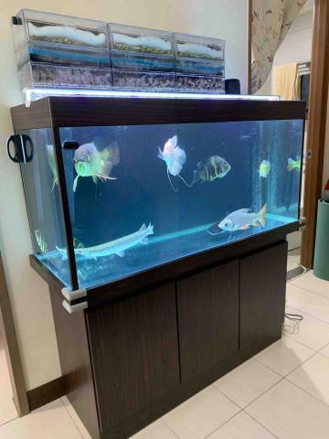 頂極水族工程有限公司 TAE - 