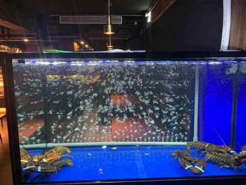 頂極水族工程有限公司 TAE - 