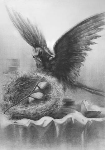 Han studio  邱柏翰 - 毛皮質感組合靜物課堂練習