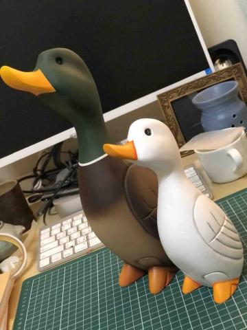 王呈功 - 三義鴨箱寶木鴨塗裝