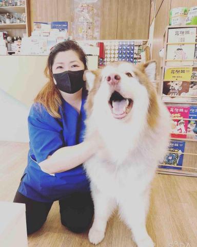 寵物保姆拉拉 - 