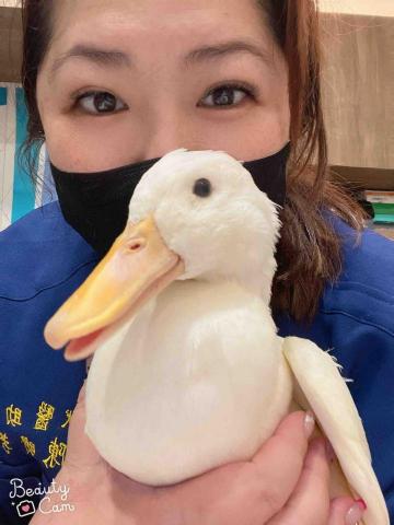 寵物保姆拉拉 - 