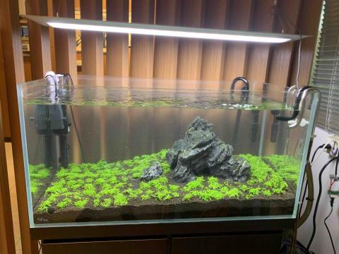 頂極水族工程有限公司 TAE - 