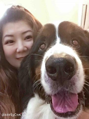 寵物保姆拉拉 - 