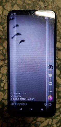 國家二級書畫師蕭瑞莆 - 國際版抖音，台灣北派書畫，（北派是指齊白石那一路），youtube,明代書法（解析）